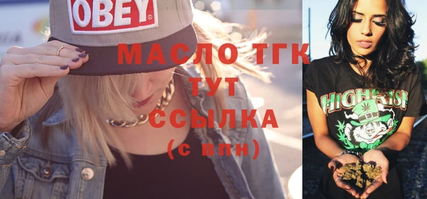 индика Майский