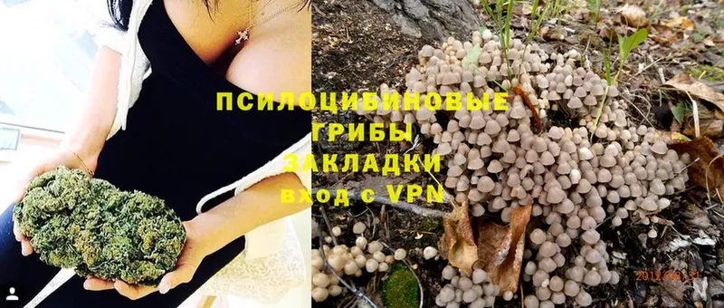 Псилоцибиновые грибы Psilocybine cubensis  shop клад  kraken онион  Лобня  купить  сайты 